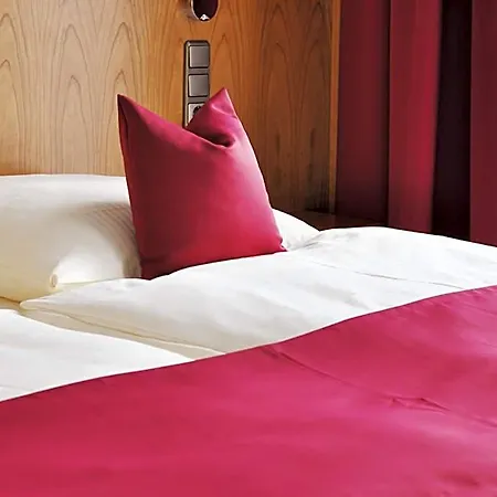 Alber Hotel 3*